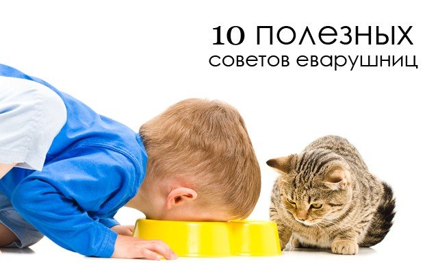 Ребенок ест из кошачьей миски. Что делать?