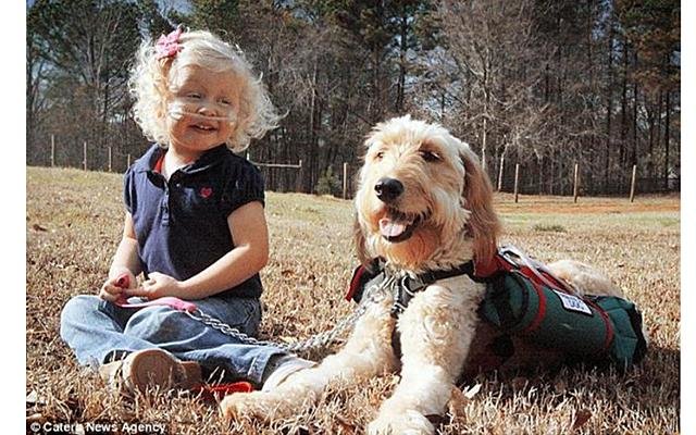 Собака – спасательный круг для 3-летней Алиды