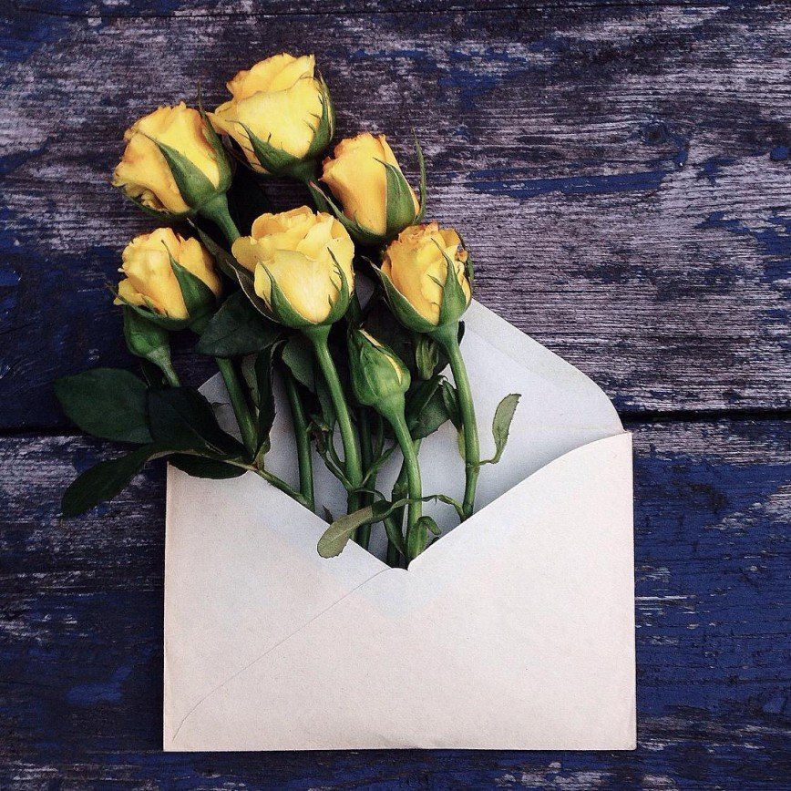 Цветы в конвертах – необыкновенный проект Анны Ремарчук