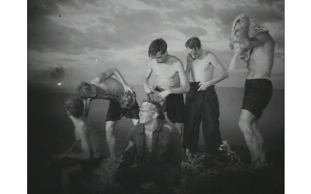 Молодая гвардия пытки. Молодая гвардия 1948.