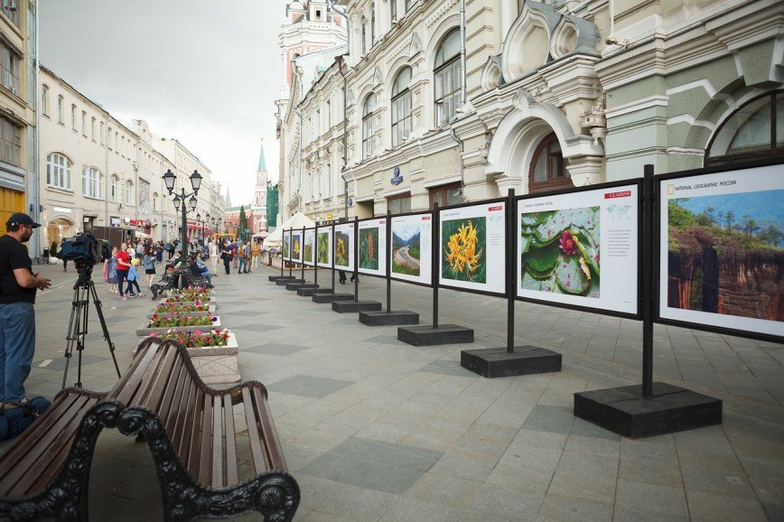 Лучшие снимки из мира растений появились в центре Москвы