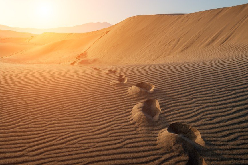 Пятизвездочный курорт откроют в пустыне