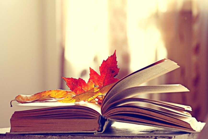 Школа на страницах книг. Книги про осень. Осеннее чтение. Красивый фон с книгами. Книга на осеннем фоне.