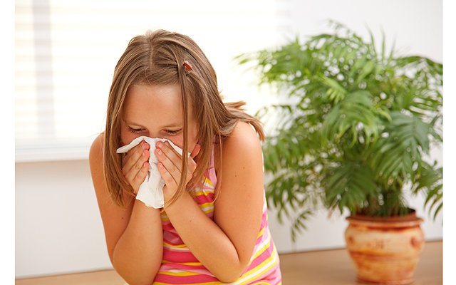 Пылевые клещи вызывают аллергию у детей