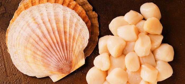 Дальневосточный деликатес - морской гребешок