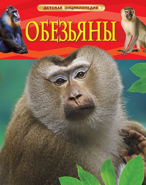 Три книги про обезьян для семейного чтения