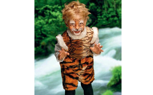 Тигрушка - добрушка: костюм для праздника