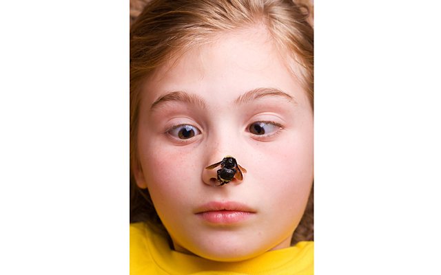 Пчелы, клещи и вши: скорая помощь при укусах насекомых