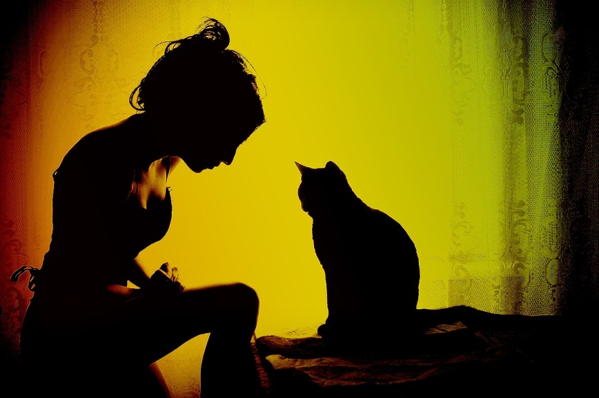 10 признаков настоящей кошачьей любви