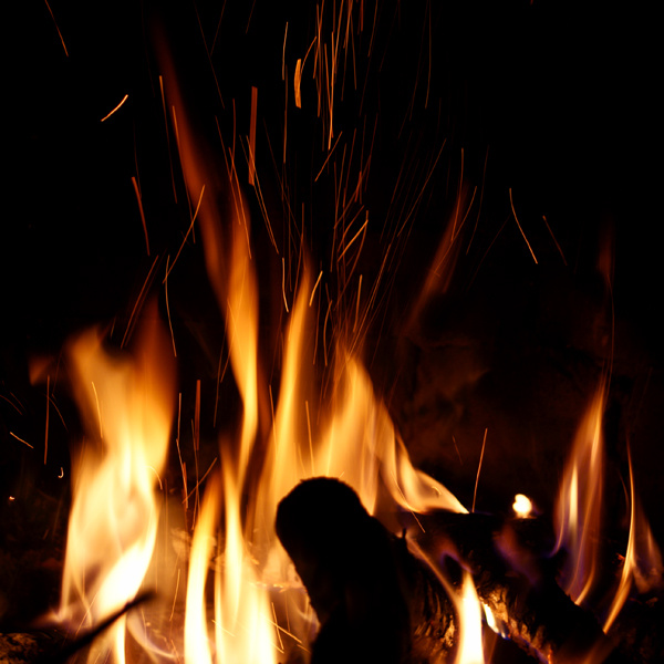 Огонь в камине - источник тепла  в нашем доме tigrenоk