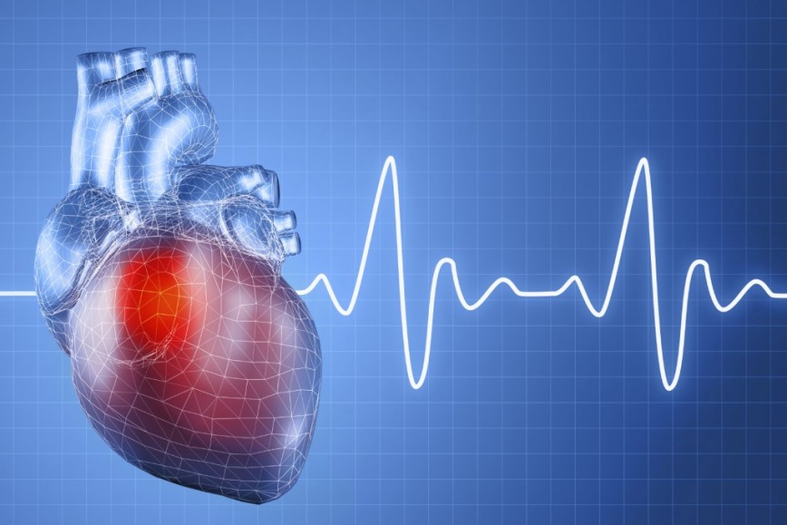 Ученые изобрели аппарат, который позволяет сердцу биться вне тела