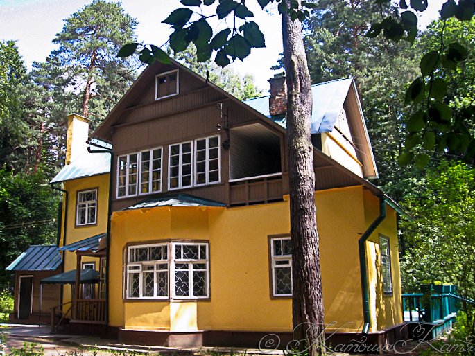 Музей Чуковского в Переделкино