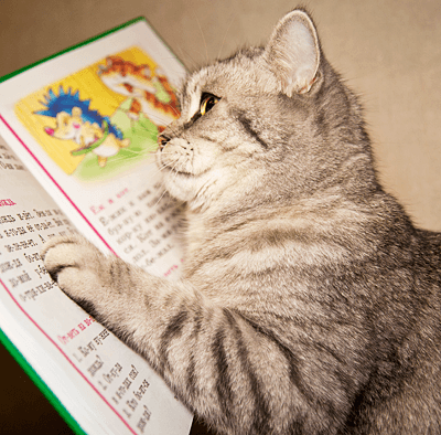 Котейка учится читать :) Танютка ☀