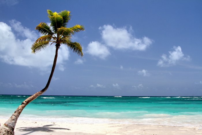 Доминикана - тропический рай в августе 2012!