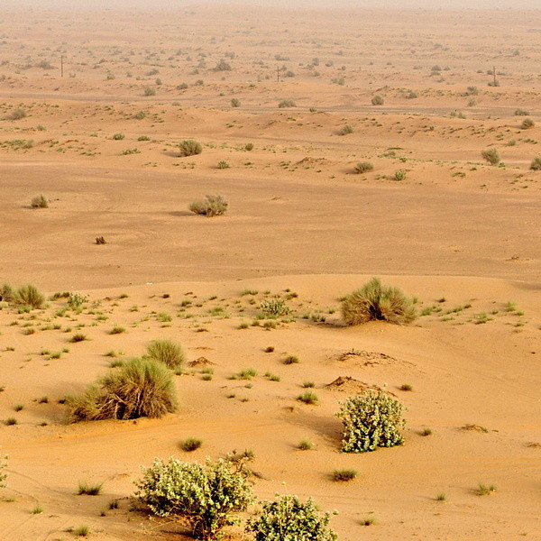 Аравийская пустыня xorolik