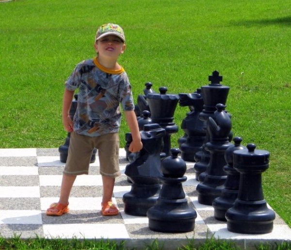 шахматы - прекрасный досуг даже в этом возрасте Armadila
