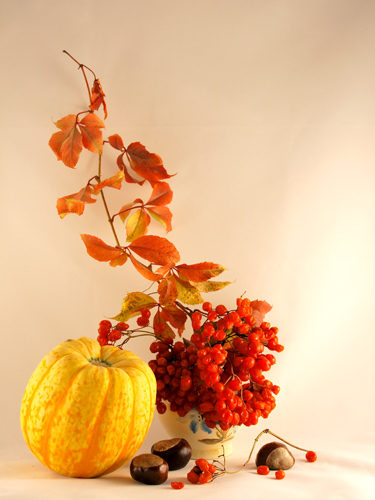 каштаны, калина и конечно красные листья - настоящая осень!! ella1977 (РФК)