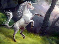 Лошадь Белая *