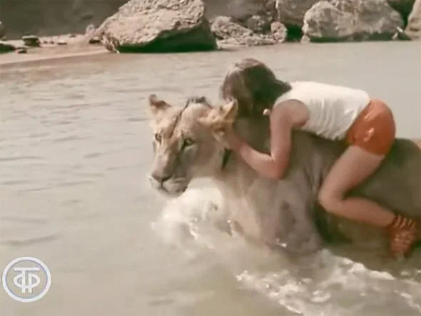 Кадр из фильма «У меня есть лев», 1975 год