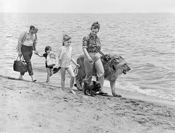 Семья Берберовых с львом Кингом, 1972 год. Фото из личного архива Веры Чаплиной
