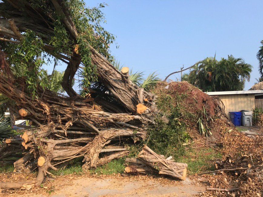 Ураган "Ирма" стал самым мощным тропическим ураганом на атлантическом побережье США за последнее десятилетие. Он причинил огромные разрушения,  ломая на своем пути деревья и разрушая здания. 
 phonix
