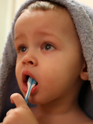 Кто чистит зубы по утрам - тот поступает мудро:)) И по вечерам тоже:)) Amores Perros