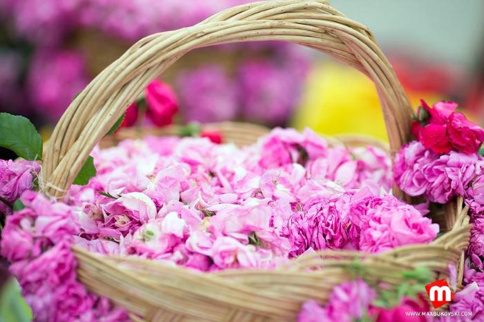 В Болгарии прошел праздник роз