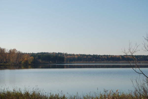 круглое озеро фото московская область