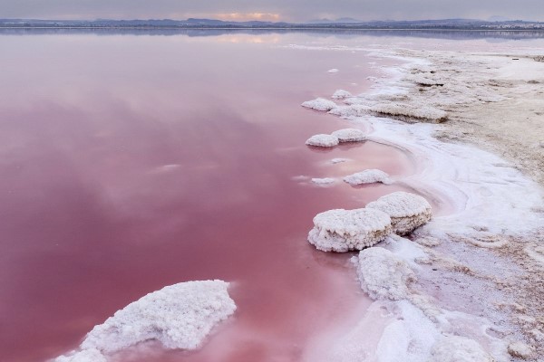Чудеса природы: розовые озера и пляжи