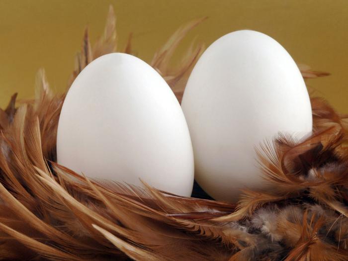 В России заморозят цены на яйца к Пасхе 
