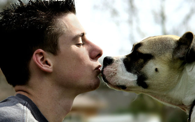 Почему целовать домашних животных опасно