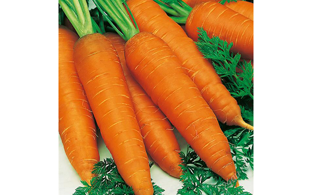 Названы главные преимущества моркови для здоровья