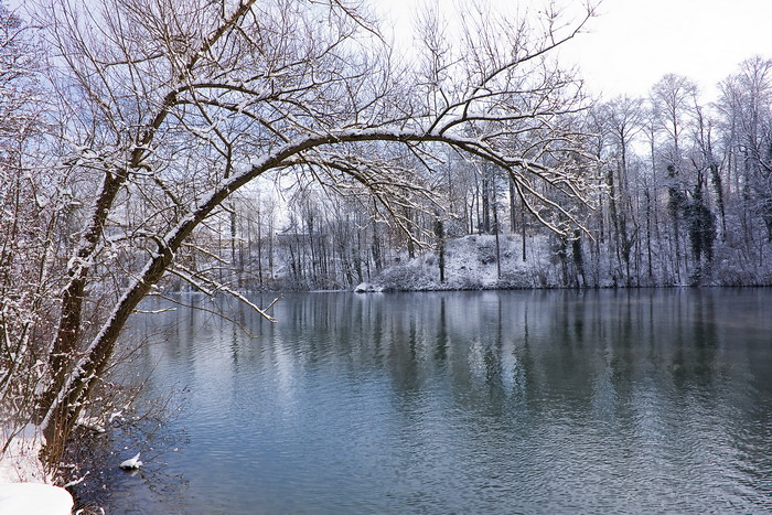 Z:\Media\Fotos\_Anastasia\Naturbilder\winter\2010\eva2781.jpg