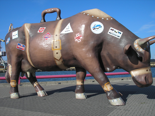 Город в Латвии с большим количеством очень интересных коров. :-) Логопед1