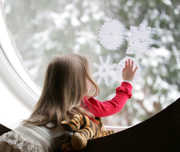 Так долго ждали снега,что решили украсить окна новогодними снежинками,и вот долгожданный снегопад укрыл все толстым снежным одеялом.Теперь и до Нового Года недалеко. Золотая Рысь