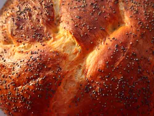 ХАЛА Сладкая, блестящая хала - традиционный хлеб ашкенази (восточно-европейских евреев), который пекут на праздники. Каждый Шаббат халу используют в обрядах со свечами и вином. Говорят, что плетеная форма халы напоминает волосы польской девушки, в которую влюбился пекарь, но не получил взаимности - это была самая красивая форма, которую он смог придумать для своего хлеба. На 2 буханки: 1 ст л сухих дрожжей 1 ст л сахара 250 мл (1 чашка) теплой воды 500 г (4 1/2 чашки) простой белой муки (больше, если понадобится) 2 ст л растительного масла 2 яйца, взбить + 1 для глазури щепотка сахара, соль мак или кунжутные семечки 1. В миксере, кухонном комбайне или большой миске смешать дрожжи, сахар и 120 мл воды. Посыпать смесь немного мукой, накрыть и оставить на 10-12 мин, пока пузырьки не поднимутся на поверхность. 2. Взбить 1 ч л соли, масло и яйца, добавить в смесь и перемешать, затем добавить муку, медленно сначала, пока все не впитается, затем быстрее. Месить 5-10 минут, пока не получится тесто, которое отстает от стенок миски. Если тесто все еще липкое, добавьте еще муки и снова замесите. 3. Положить тесто в миску, слегка смазанную маслом. Накрыть чистым полотенцем и оставить на 1 1/2 - 2 часа, пока оно не увеличится вдвое. 4. Переложить тесто на посыпанную мукой поверхность и замесить, затем вернуть в миску. Накрыть полотенцем и положить в холодильник на ночь, чтобы тесто поднялось. 5. Переложить тесто на поверхность, посыпанную мукой, ударить тесто и замесить, пока оно не будет блестящим и гладким. Разделить на два равных куска. Затем разделить каждый кусок на три. Раскатать каждый в длинную веревку. 6. Защипнуть концы трех "веревок" и заплести из них косу. Повторить с оставшимся тестом положить буханки на противень. Накрыть полотенцем и дать подняться в течение 1 часа, пока не увеличится вдвое. 7. Разогреть духовку до 190 гр С. В миске смешать оставшееся яйцо, сахар и соль и смазать смесью буханки, посыпать маком или кунжутом. Запекать 40 мин или до коричневой корочки. Дать остыть на решетке.   IrishKind