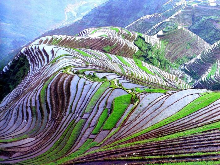  Рисовые террасы Honghe Hani стали Всемирным наследием