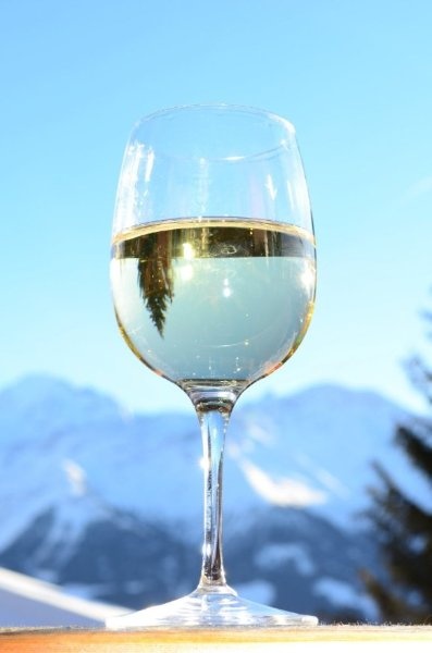 Швейцарские Альпы... обалденный вид из окна и бокальчик хорошего вина - чем не вдохновение для фотографа? ;-) Кaтеринка