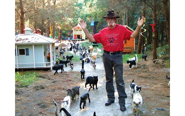 Caboodle Ranch – настоящий рай для кошек