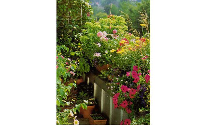 Переносим цветы на балкон: правила переезда