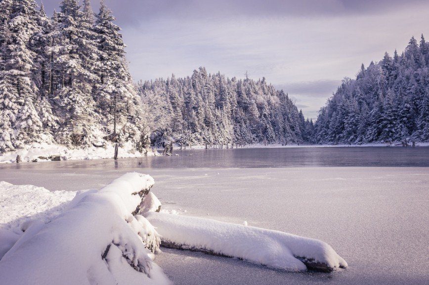 Хорошее зимнее видео. Зимняя природа. Зима пейзаж. Красивая зима. Красота природы зимой.