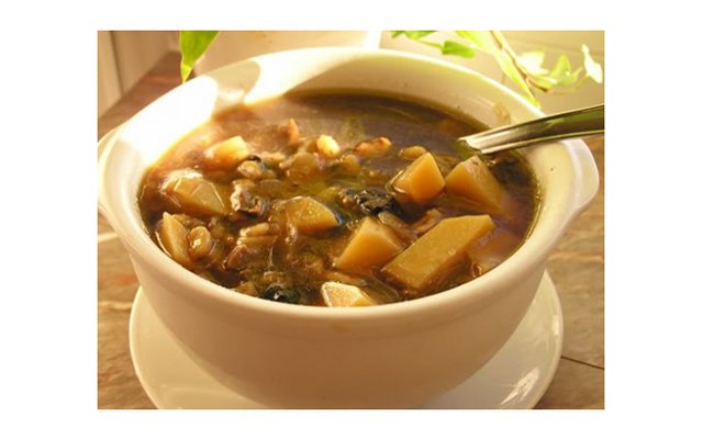 Грибные супы – простые рецепты из свежих лесных грибов