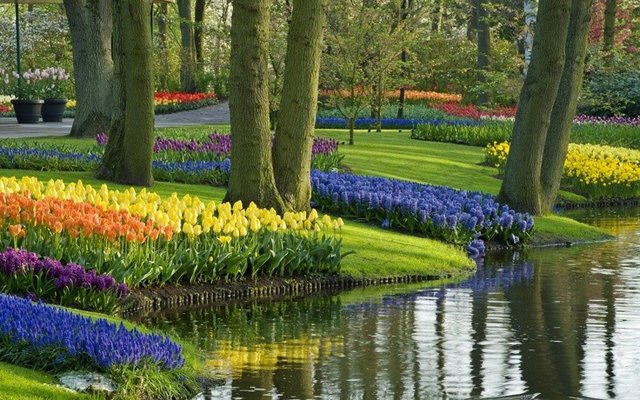 Самые красивые цветочные плантации и парки мира