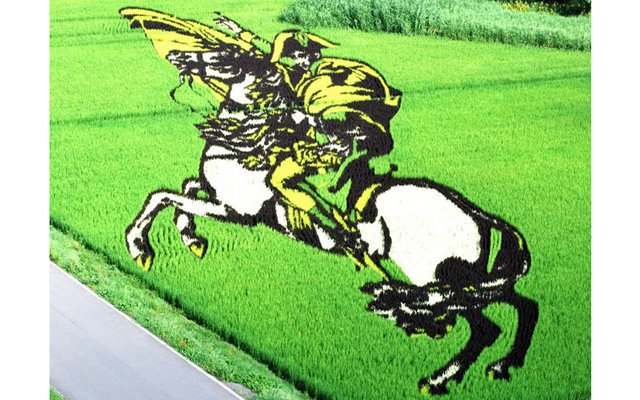Необыкновенные картины на рисовых полях