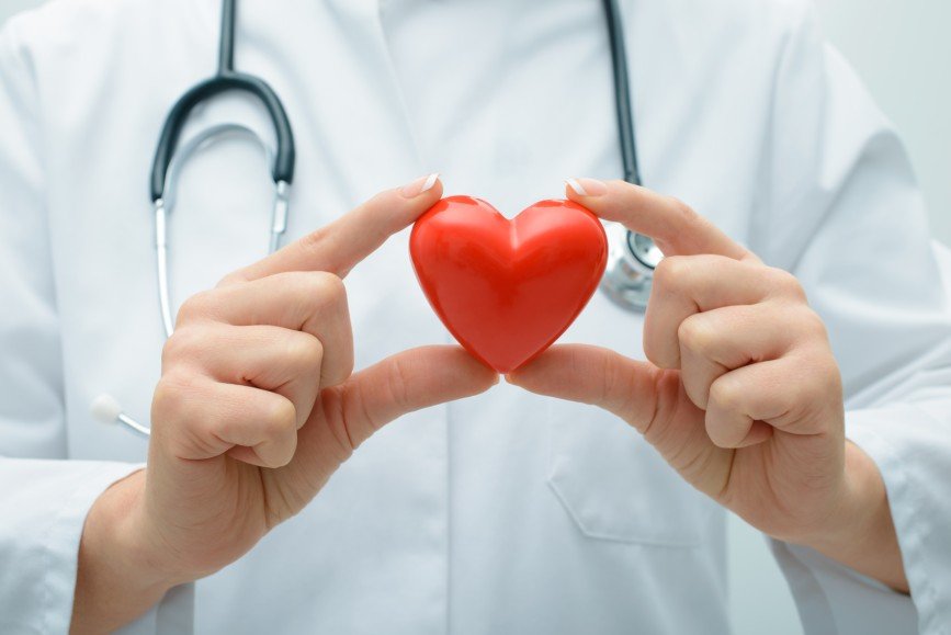 Ученые вырастили человеческое сердце в лабораторных условиях