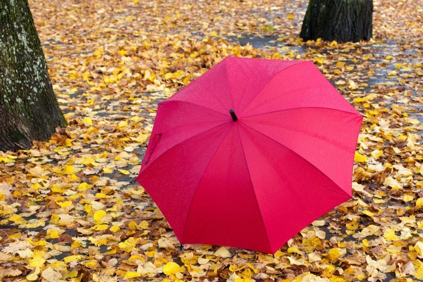 Осень красный зонт