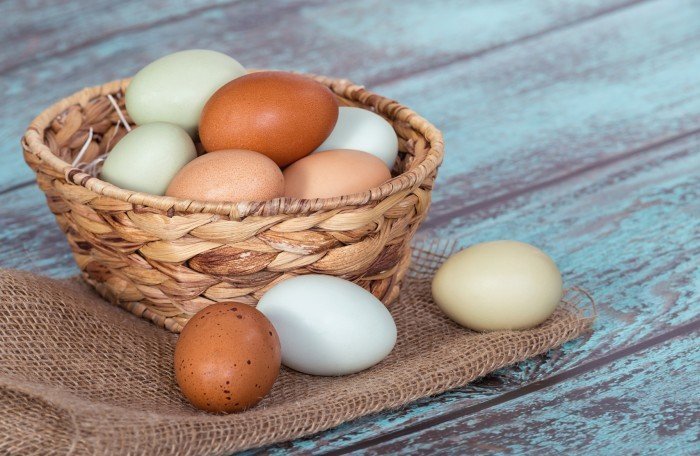 Коричневые и белые яйца: в чем разница?