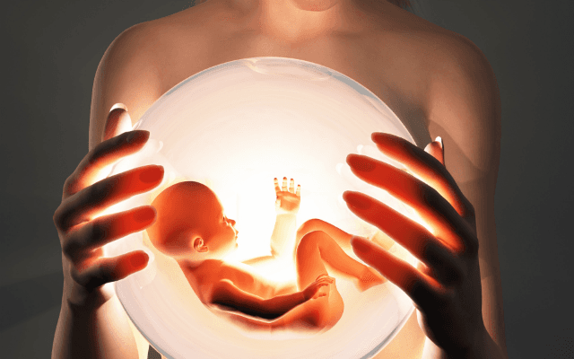 Мизулина предлагает запретить суррогатное материнство