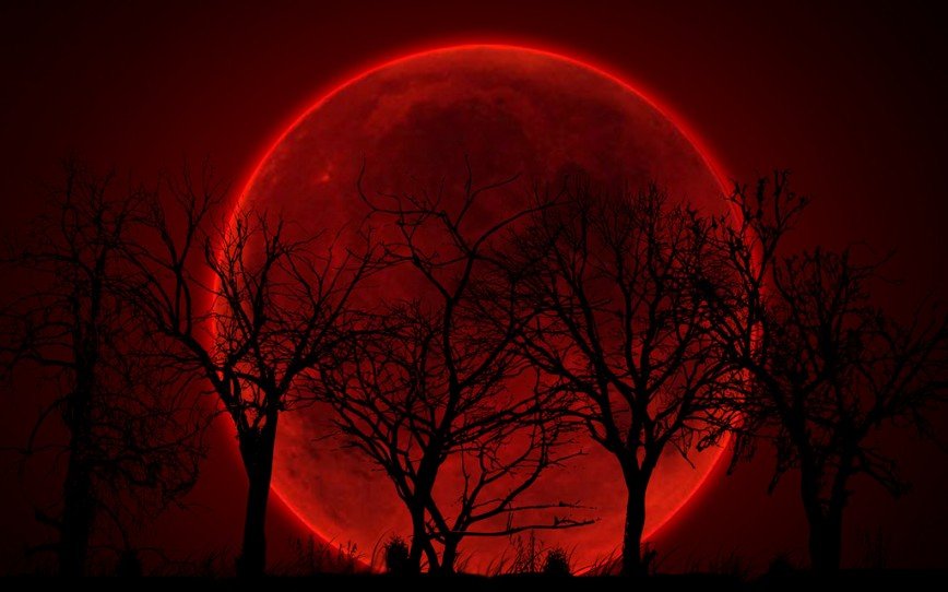 НАСА рассказало, где можно будет увидеть "кровавую луну" 27 сентября
