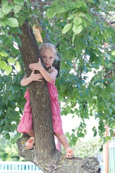 Дочка посмотрела фильм "Дубравка" и теперь учится лазить по деревьям :-) shamornaya